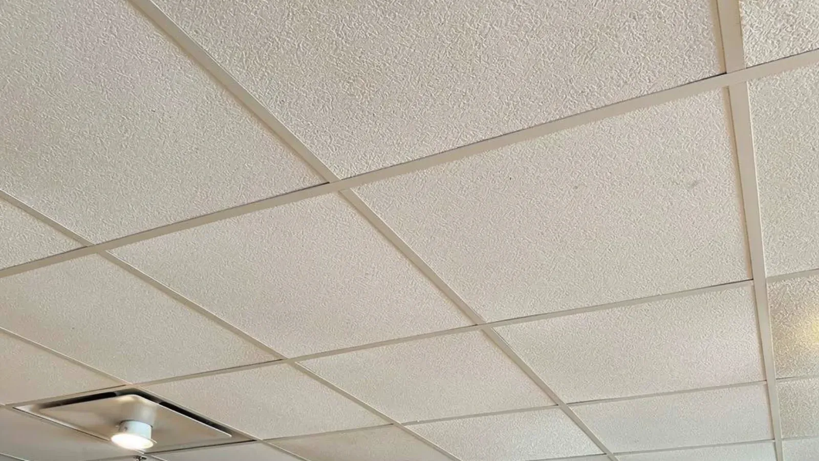 A fully tiled suspended ceiling with recessed lighting set into the grid