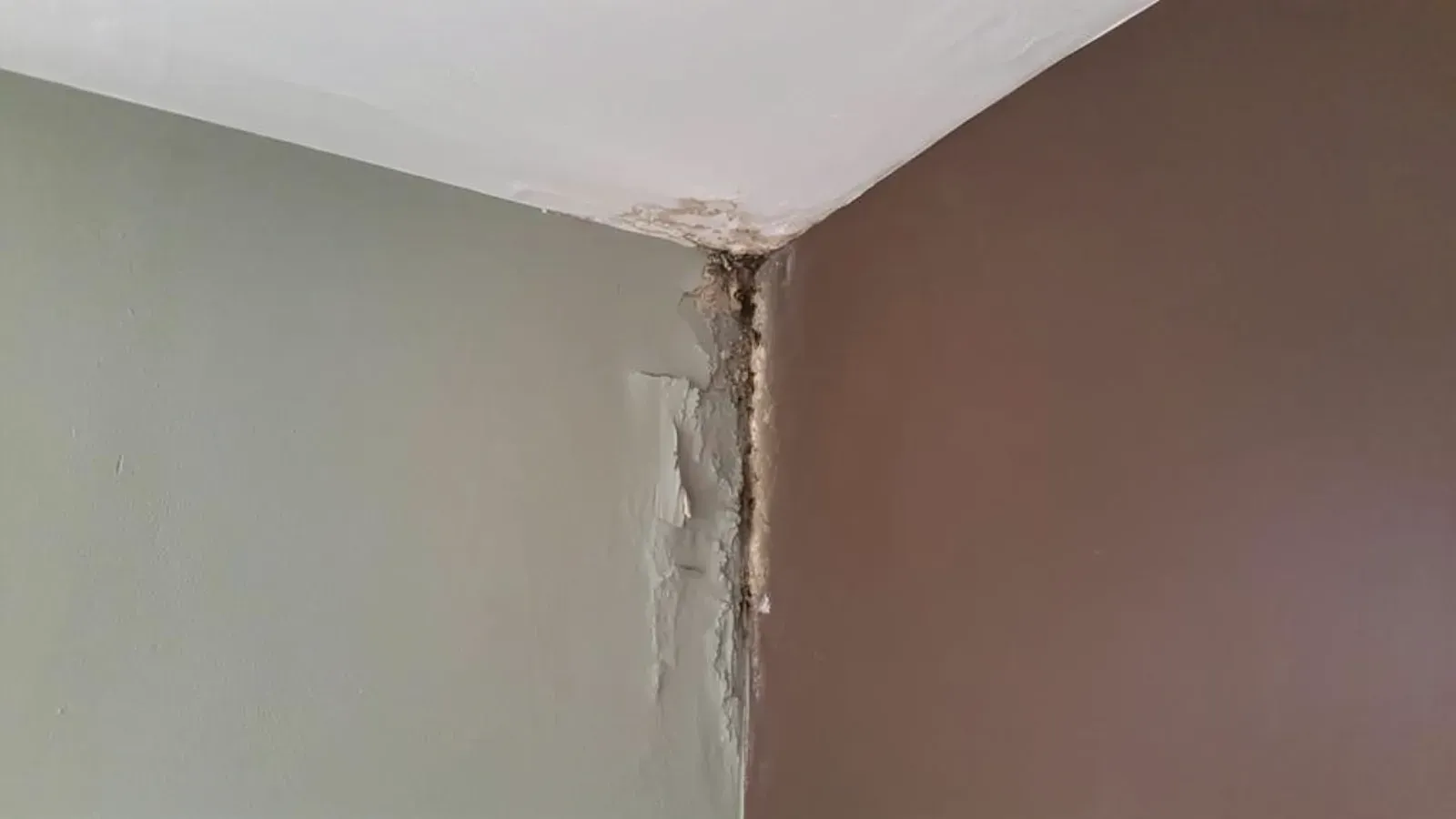 Water staining bleeding down the top corner of an interior room, the paint bubbled and flaking below it